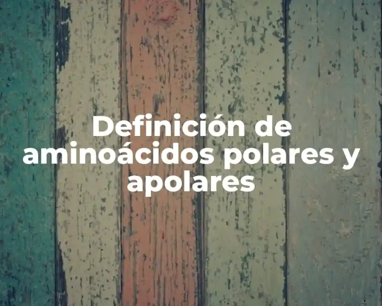 Definición de aminoácidos polares y apolares