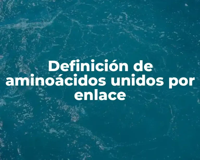 Definición de aminoácidos unidos por enlace