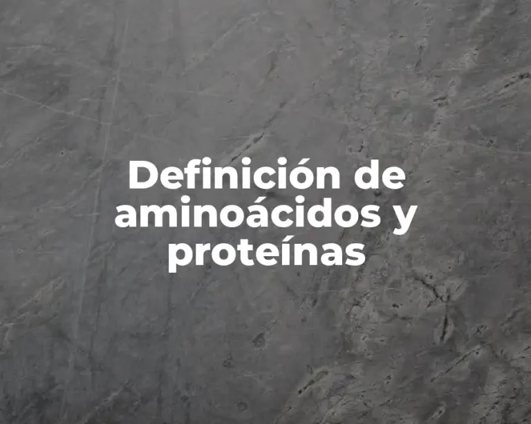 Definición de aminoácidos y proteínas