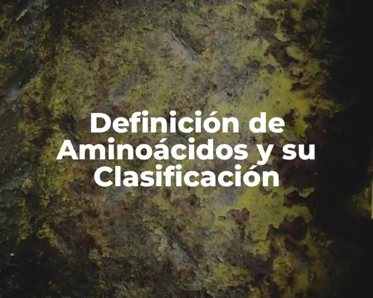 Definición de Aminoácidos y su Clasificación