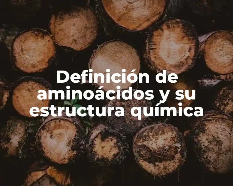 Definición de aminoácidos y su estructura química