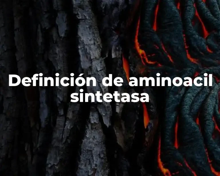 Definición de aminoacil sintetasa