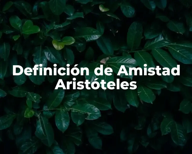 Definición de Amistad Aristóteles