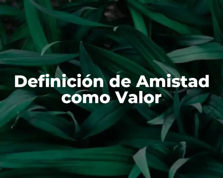 Definición de Amistad como Valor
