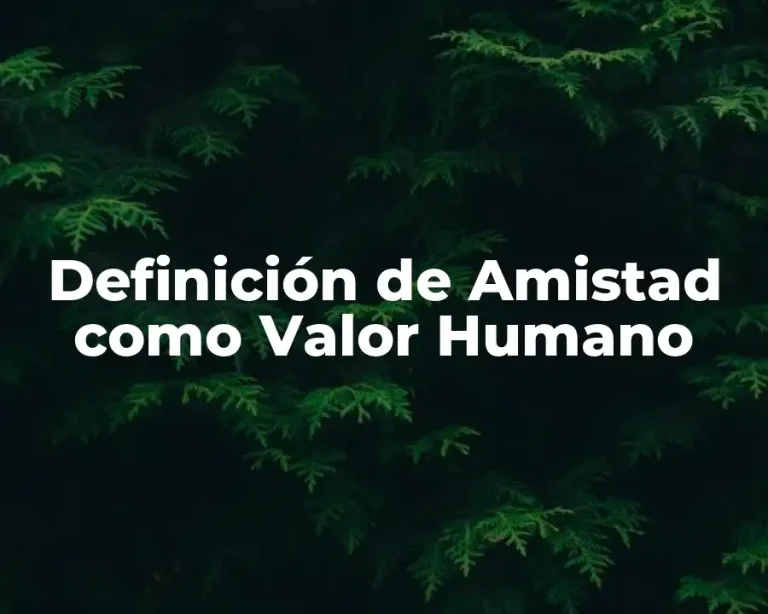 Definición de Amistad como Valor Humano
