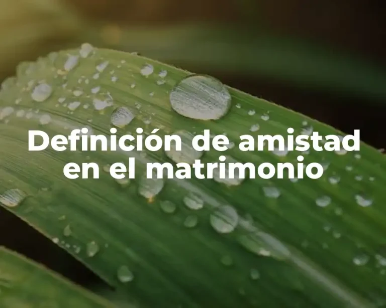 Definición de amistad en el matrimonio