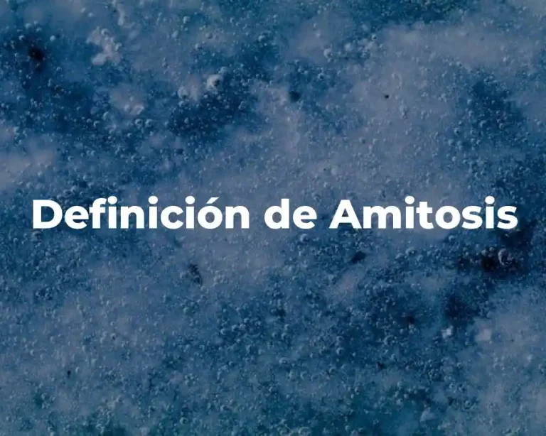 Definición de Amitosis