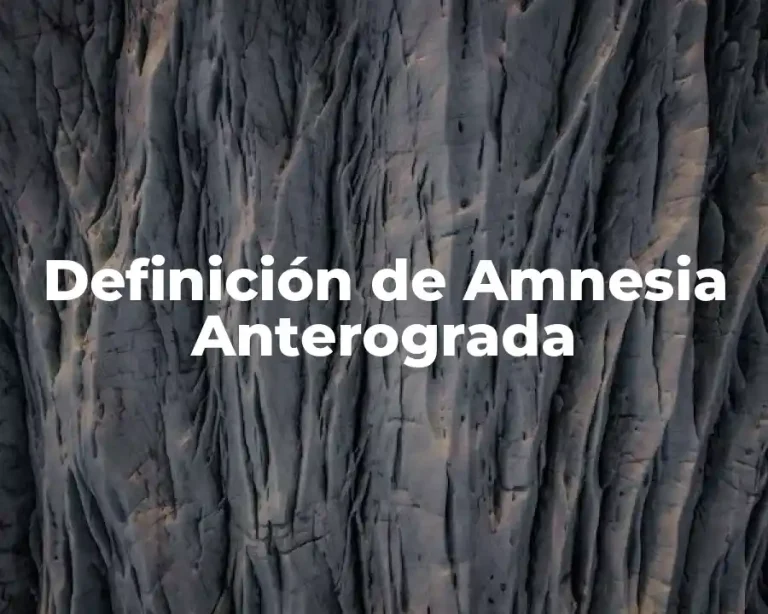 Definición de Amnesia Anterograda
