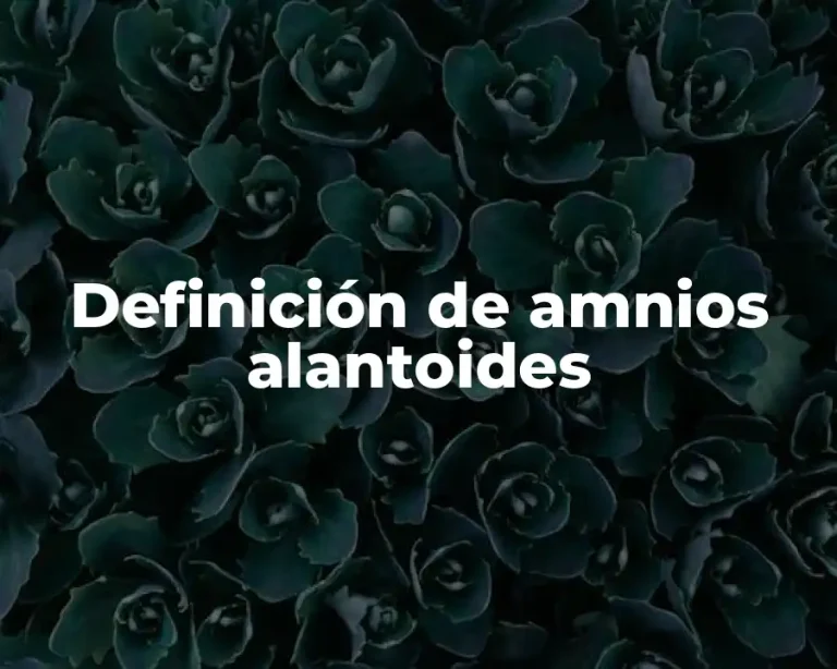 Definición de amnios alantoides