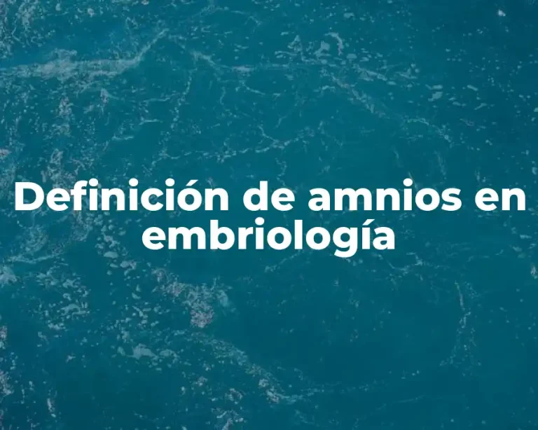 Definición de amnios en embriología