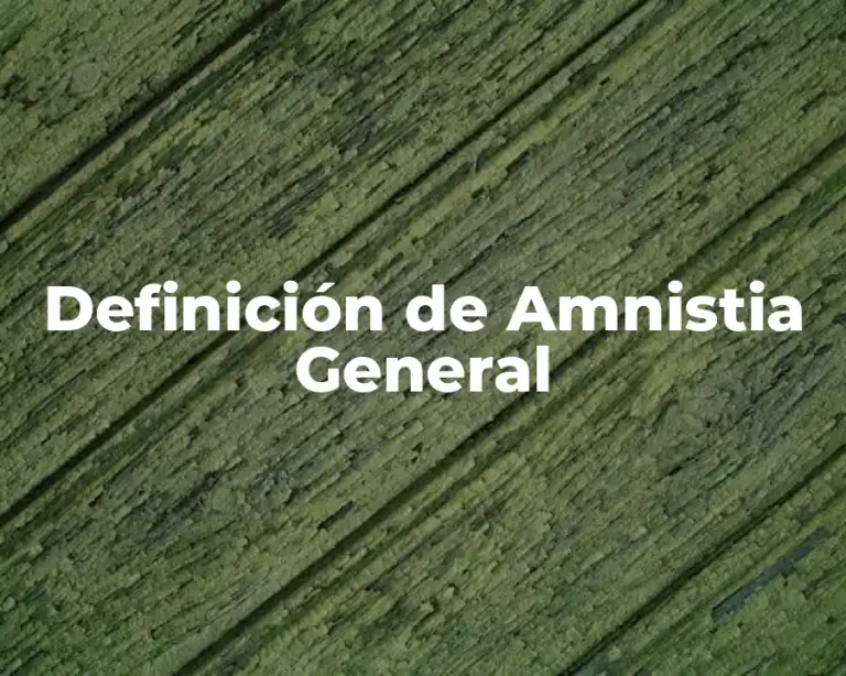 Definición de Amnistia General