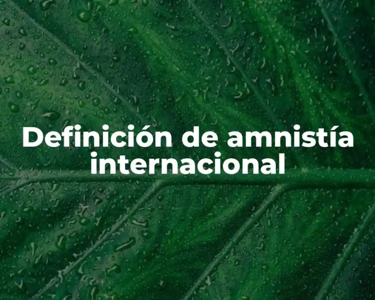 Definición de amnistía internacional