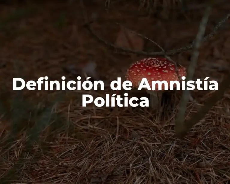 Definición de Amnistía Política
