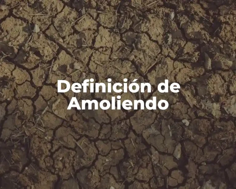 Definición de Amoliendo