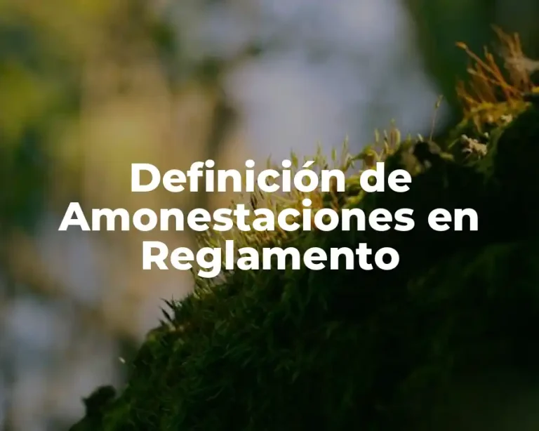 Definición de Amonestaciones en Reglamento