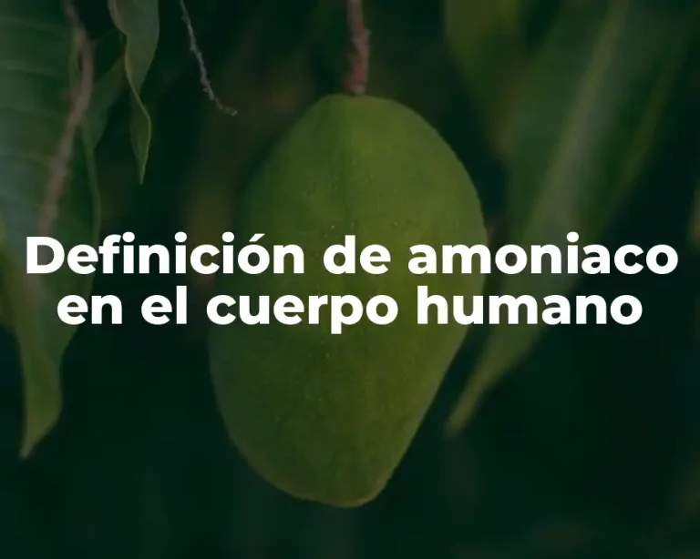 Definición de amoniaco en el cuerpo humano