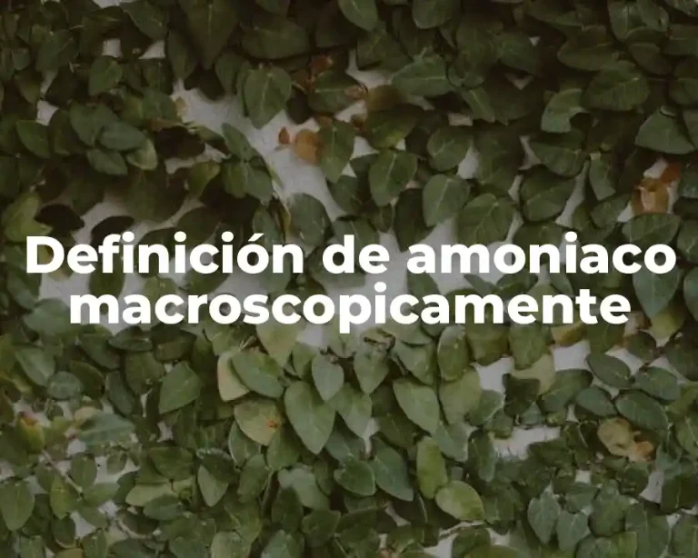 Definición de amoniaco macroscopicamente