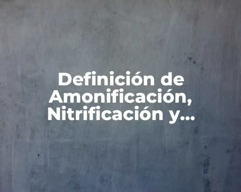 Definición de Amonificación, Nitrificación y Desnitrificación