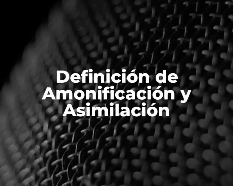 Definición de Amonificación y Asimilación