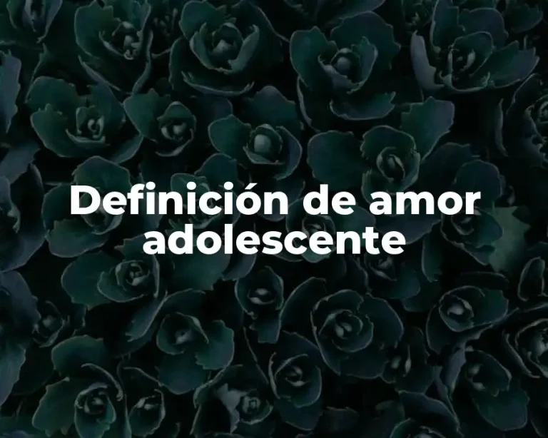 Definición de amor adolescente