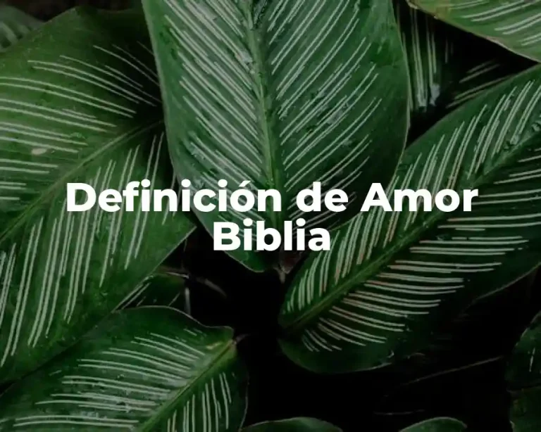 Definición de Amor Biblia