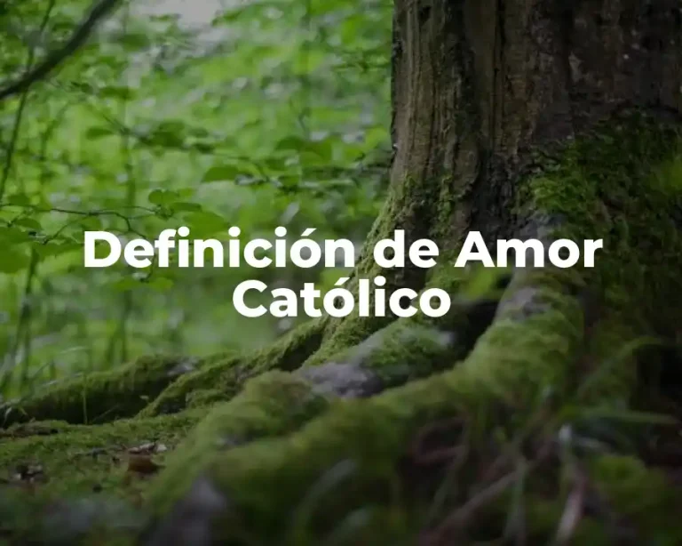 Definición de Amor Católico