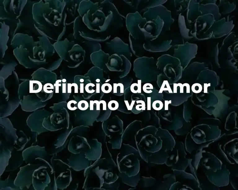 Definición de Amor como valor