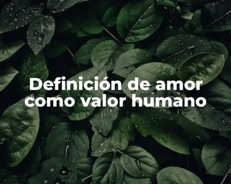 Definición de amor como valor humano