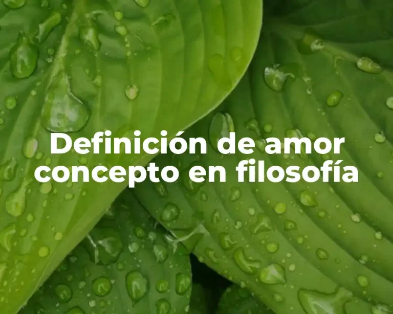 Definición de amor concepto en filosofía