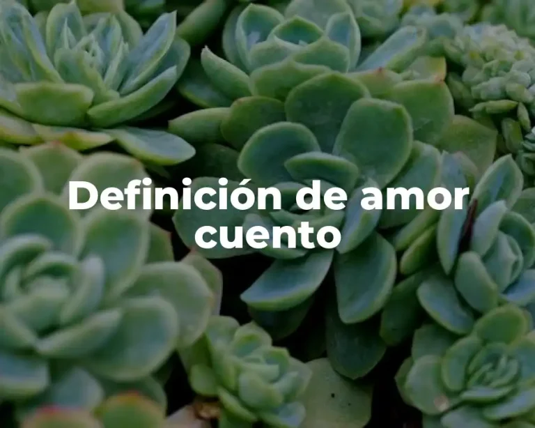 Definición de amor cuento