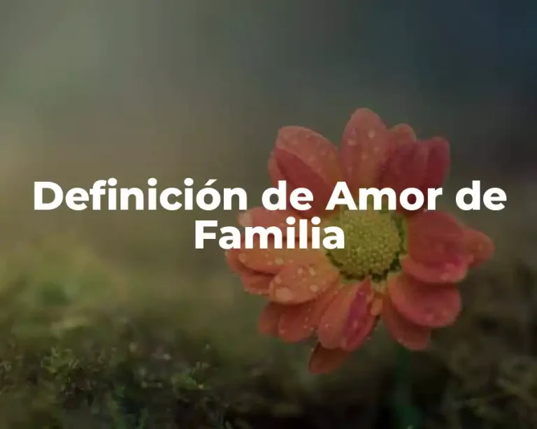 Definición de Amor de Familia