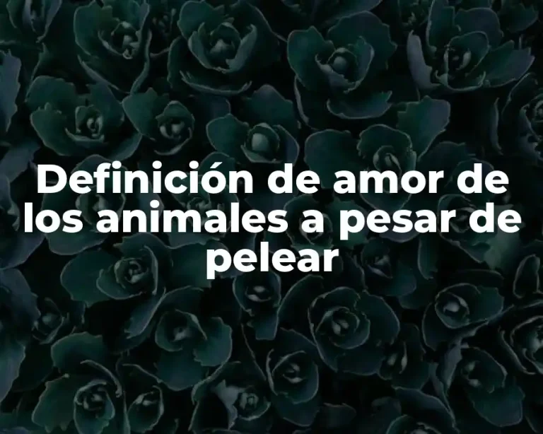 Definición de amor de los animales a pesar de pelear