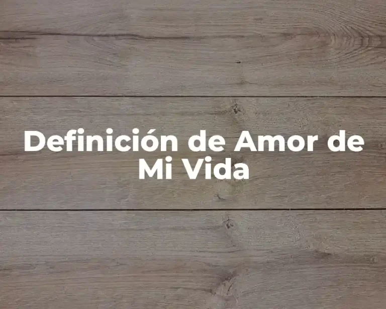 Definición de Amor de Mi Vida
