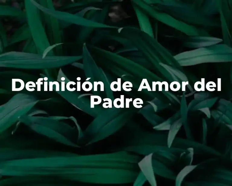 Definición de Amor del Padre