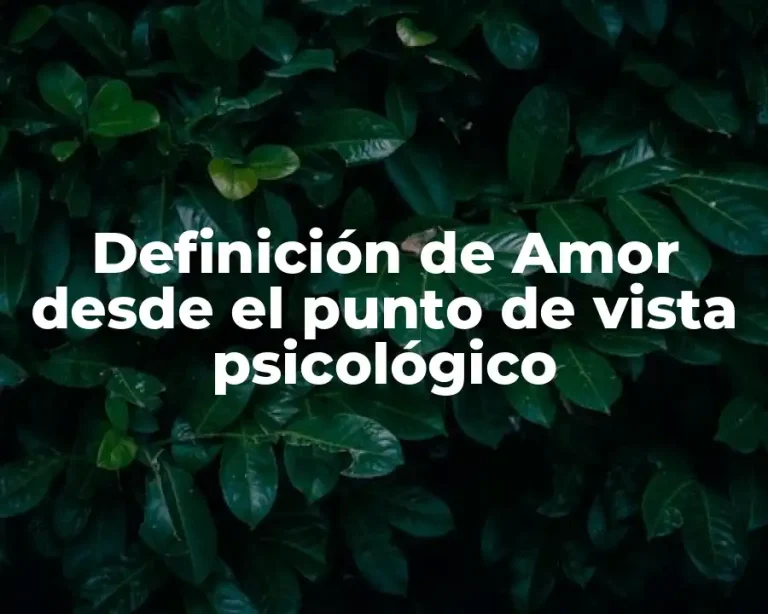 Definición de Amor desde el punto de vista psicológico