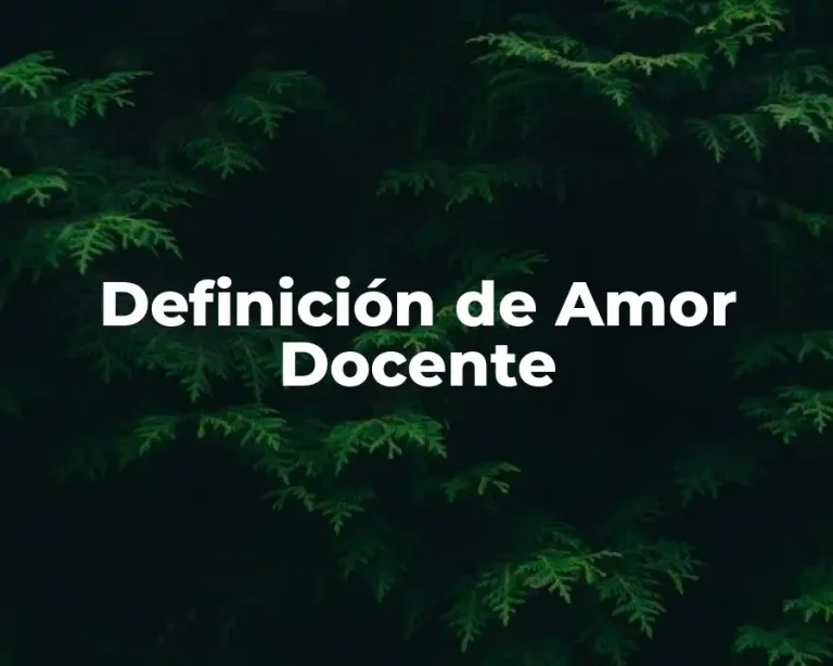 Definición de Amor Docente