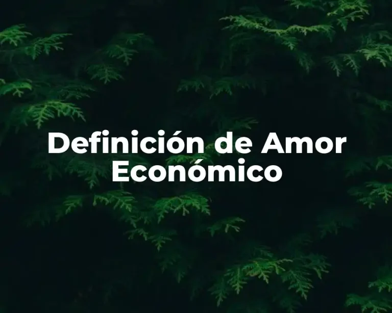 Definición de Amor Económico