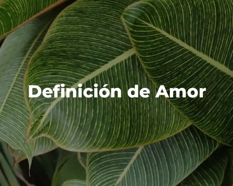 Definición de Amor