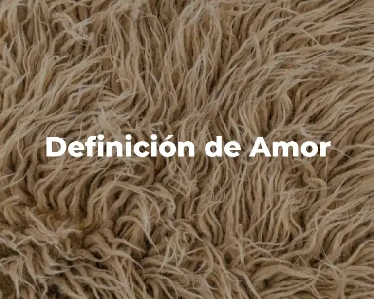 Definición de Amor