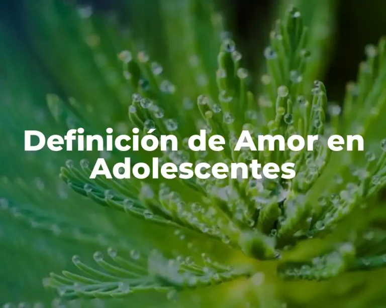 Definición de Amor en Adolescentes