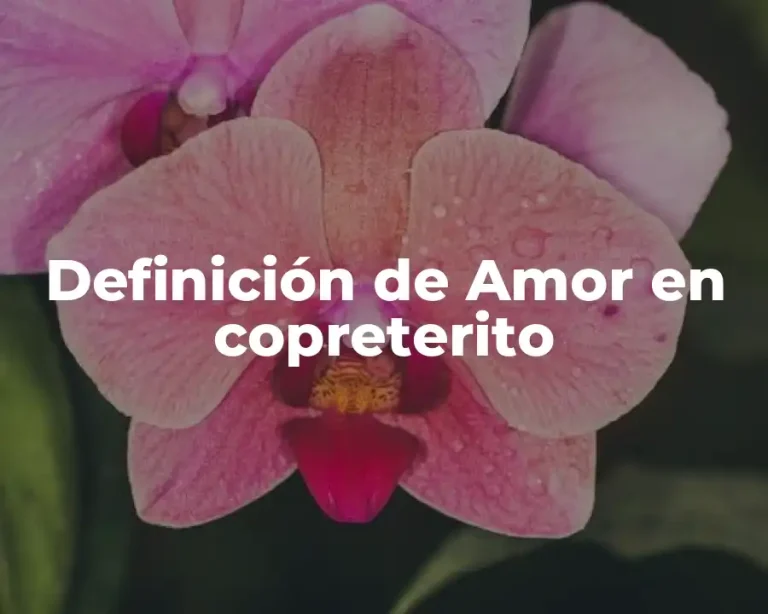 Definición de Amor en copreterito