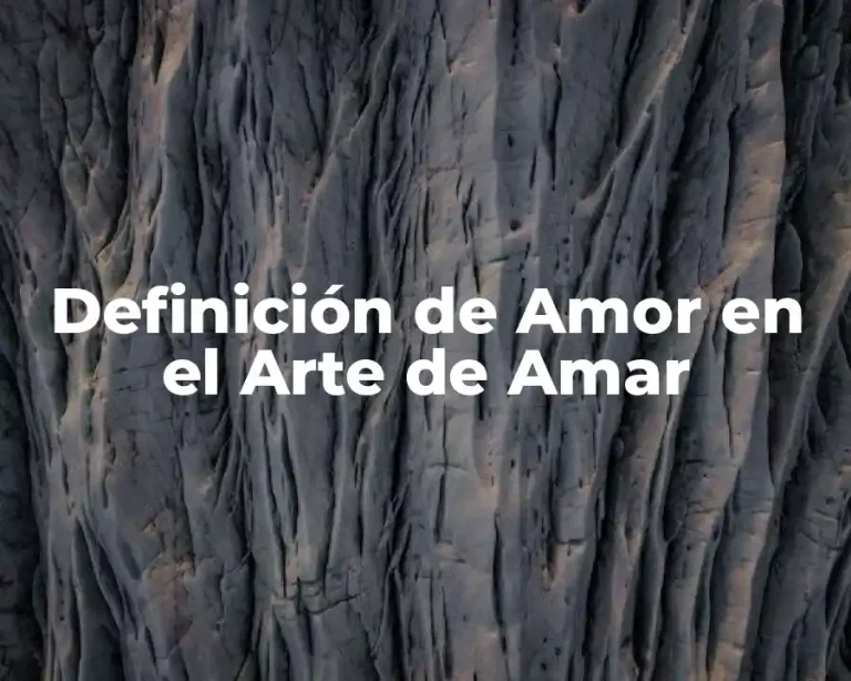 Definición de Amor en el Arte de Amar