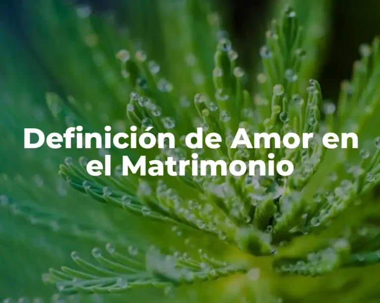 Definición de Amor en el Matrimonio