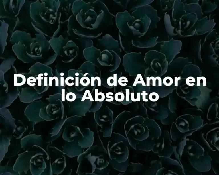 Definición de Amor en lo Absoluto