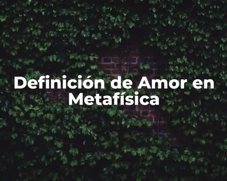 Definición de Amor en Metafísica