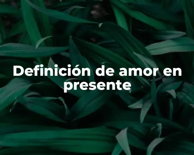 Definición de amor en presente