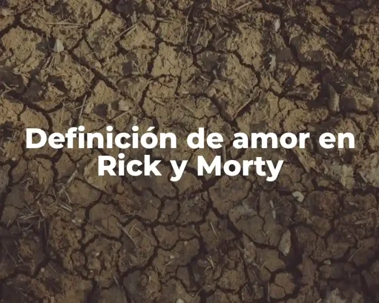 Definición de amor en Rick y Morty