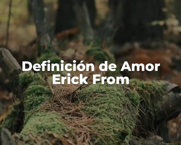 Definición de Amor Erick From