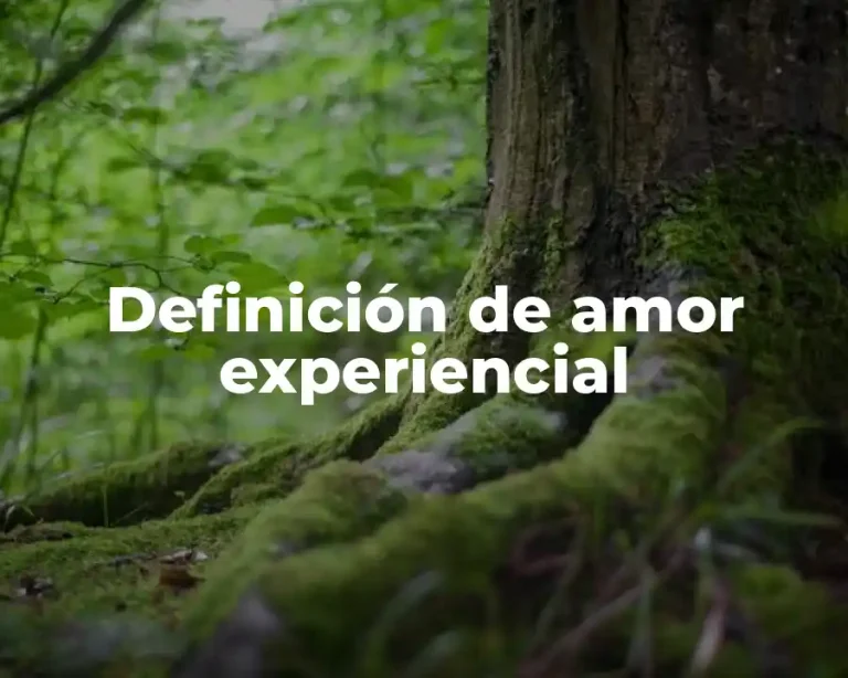 Definición de amor experiencial