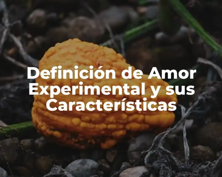 Definición de Amor Experimental y sus Características